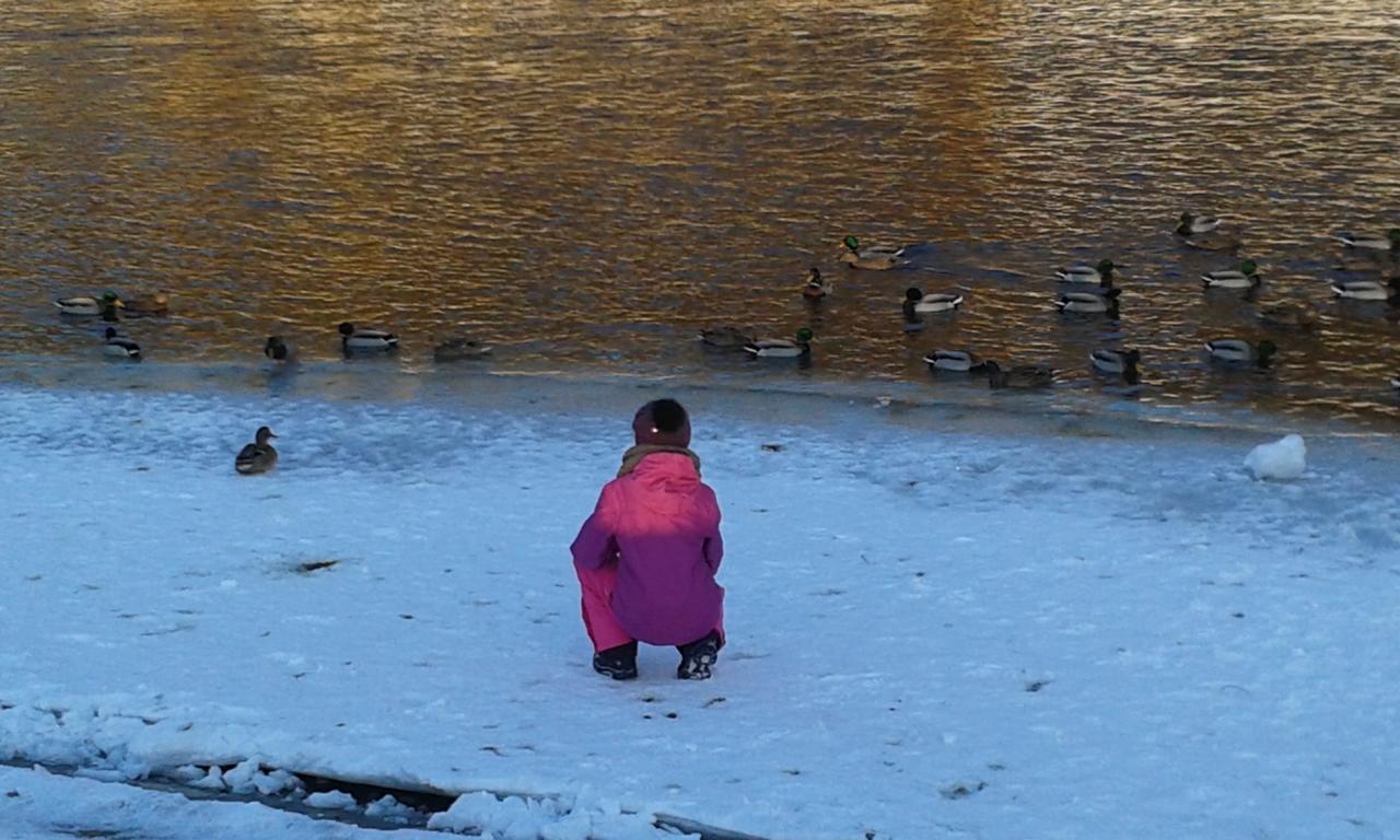 Ubytovanie Sokolica Cerveny Klastor Luaran gambar