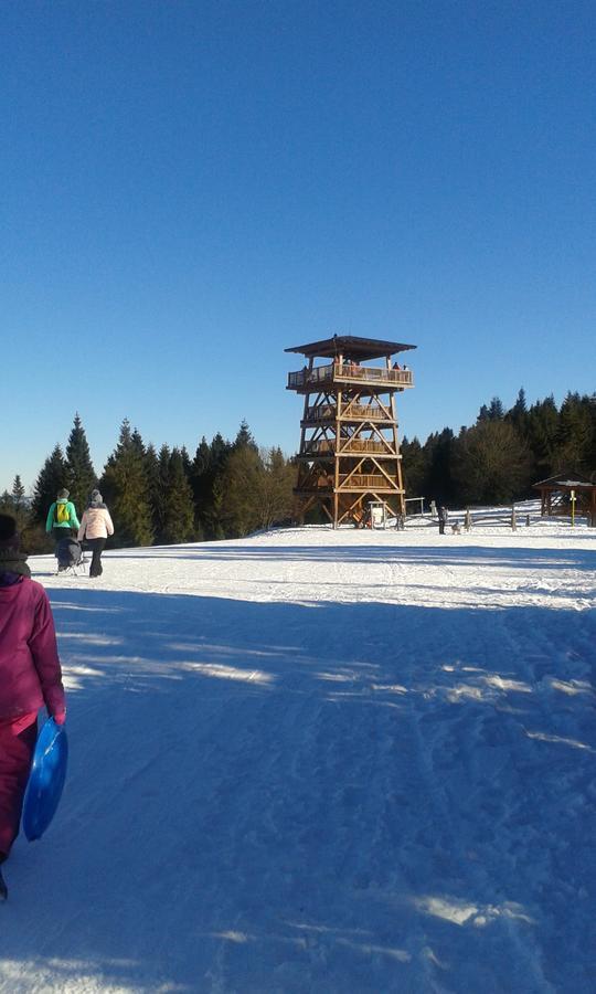 Ubytovanie Sokolica Cerveny Klastor Luaran gambar
